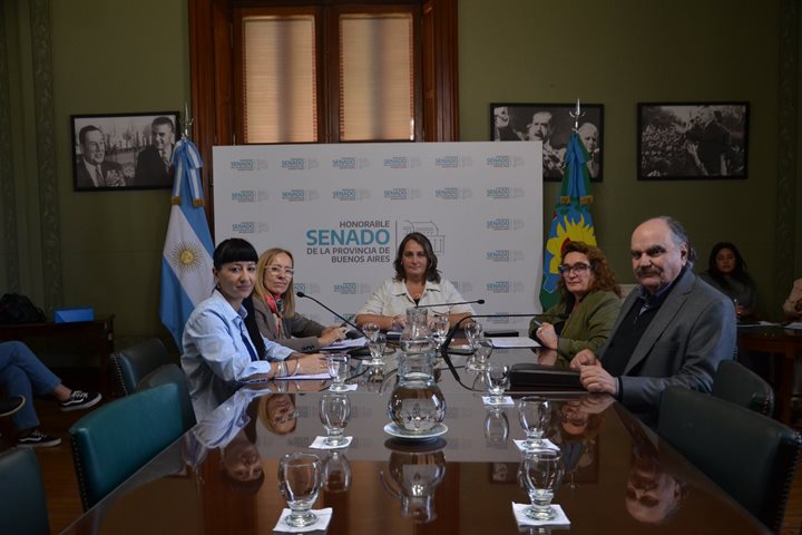 Sesionó la Comisión de Igualdad Real de Trato y Oportunidades y Discapacidad 