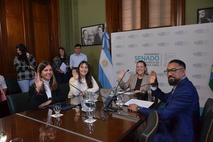 Quedó constituida la comisión de Prevención de las Adicciones del Senado bonaerense