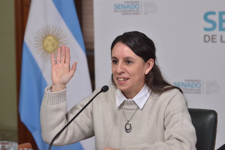 Quedó constituida la comisión de Niñez, Adolescencia y Familia del Senado bonaerense