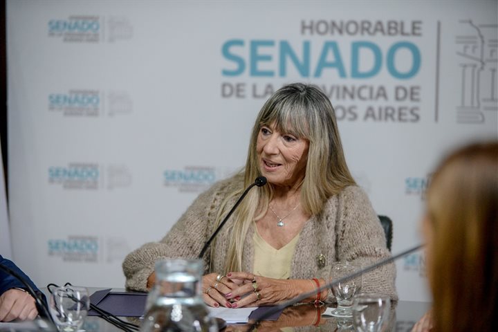 El Senado bonaerense conformó la comisión de Educación, Cultura, Ciencia y Técnica