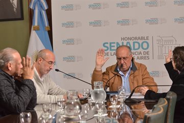 La Comisión de Salud avanzó con proyectos sobre prevención y reconocimiento sanitario