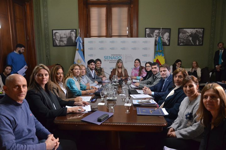 La Comisión de Educación avanzó con proyectos sobre convivencia escolar, educación digital y cultura