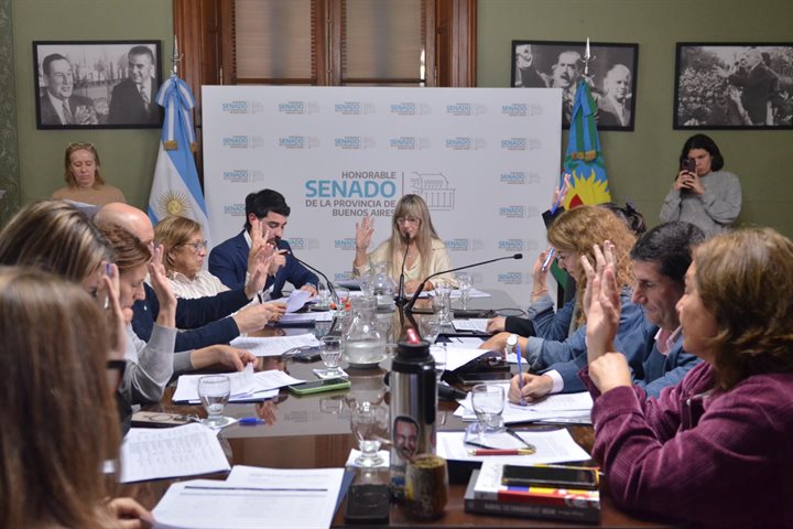 La comisión de Educación debatió proyectos sobre convivencia y bienestar escolar