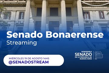 Senado stream
