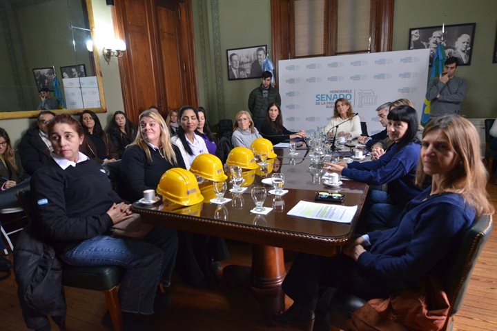 La Comisión de Igualdad Real de Trato y Oportunidades y de Discapacidad analizó distintos proyectos