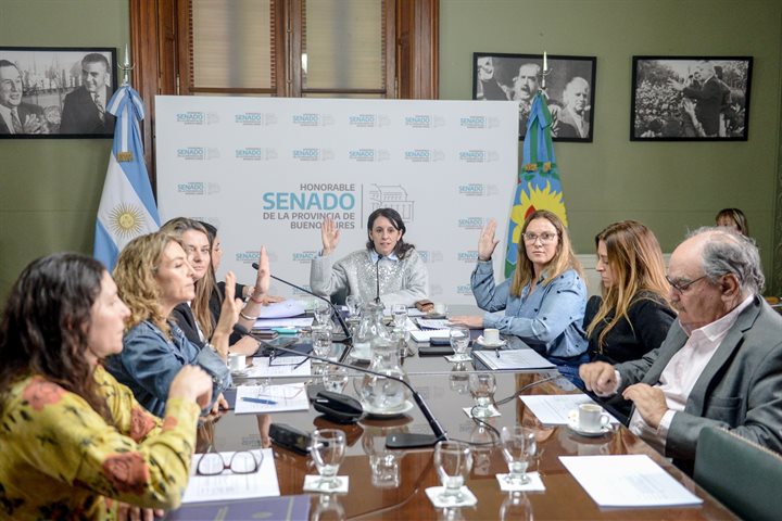 La Comisión de Niñez analizó proyectos vinculados a la protección de derechos