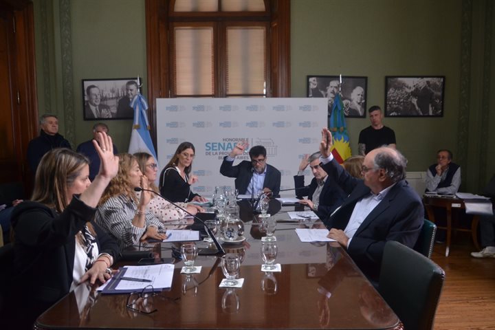 La Comisión de Asuntos Agrarios y Pesca analizó iniciativas vinculadas al sector productivo