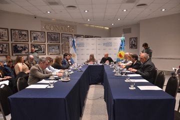Ley Ema: la comisión conjunta de Educación y Legislación General aprobó el proyecto por unanimidad