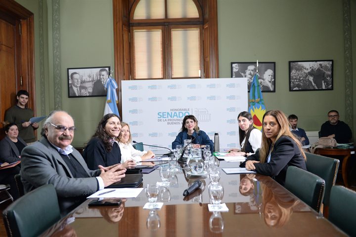 La Comisión de Derechos Humanos y Garantías avanzó con proyectos sobre derechos laborales y memoria